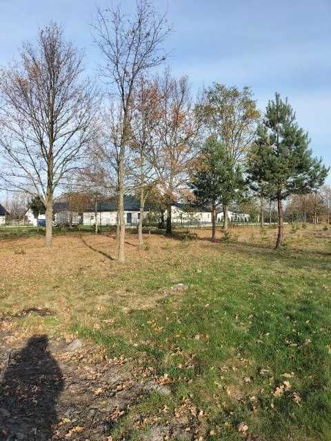 Działka budowlana Ozorków, ul. Miodowa. Zdjęcie 2