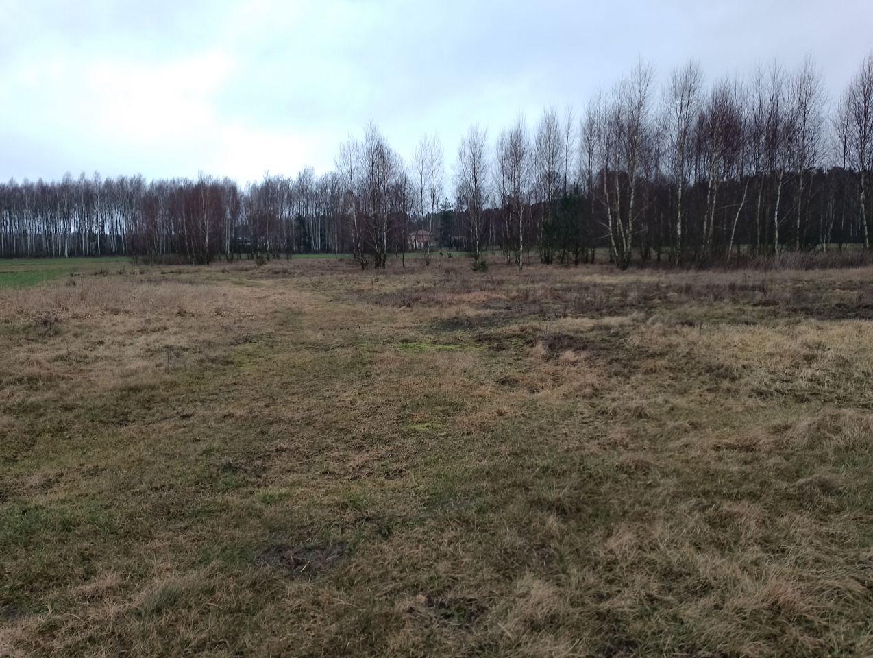 Działka budowlana Cisse. Zdjęcie 5