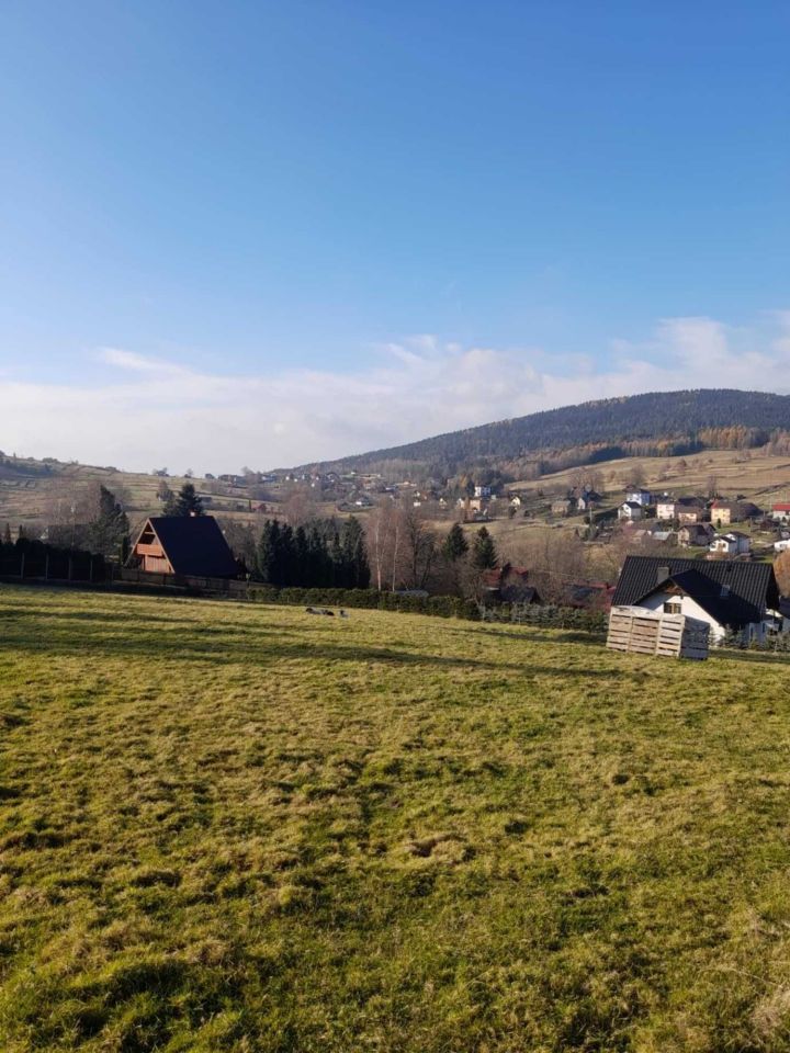 Działka budowlana Las. Zdjęcie 8