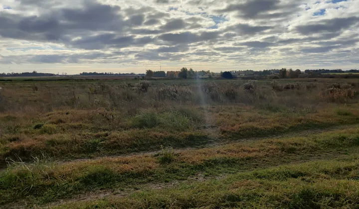 Działka rolno-budowlana Jamielnik, ul. Różana