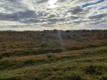 Działka rolno-budowlana Jamielnik, ul. Różana