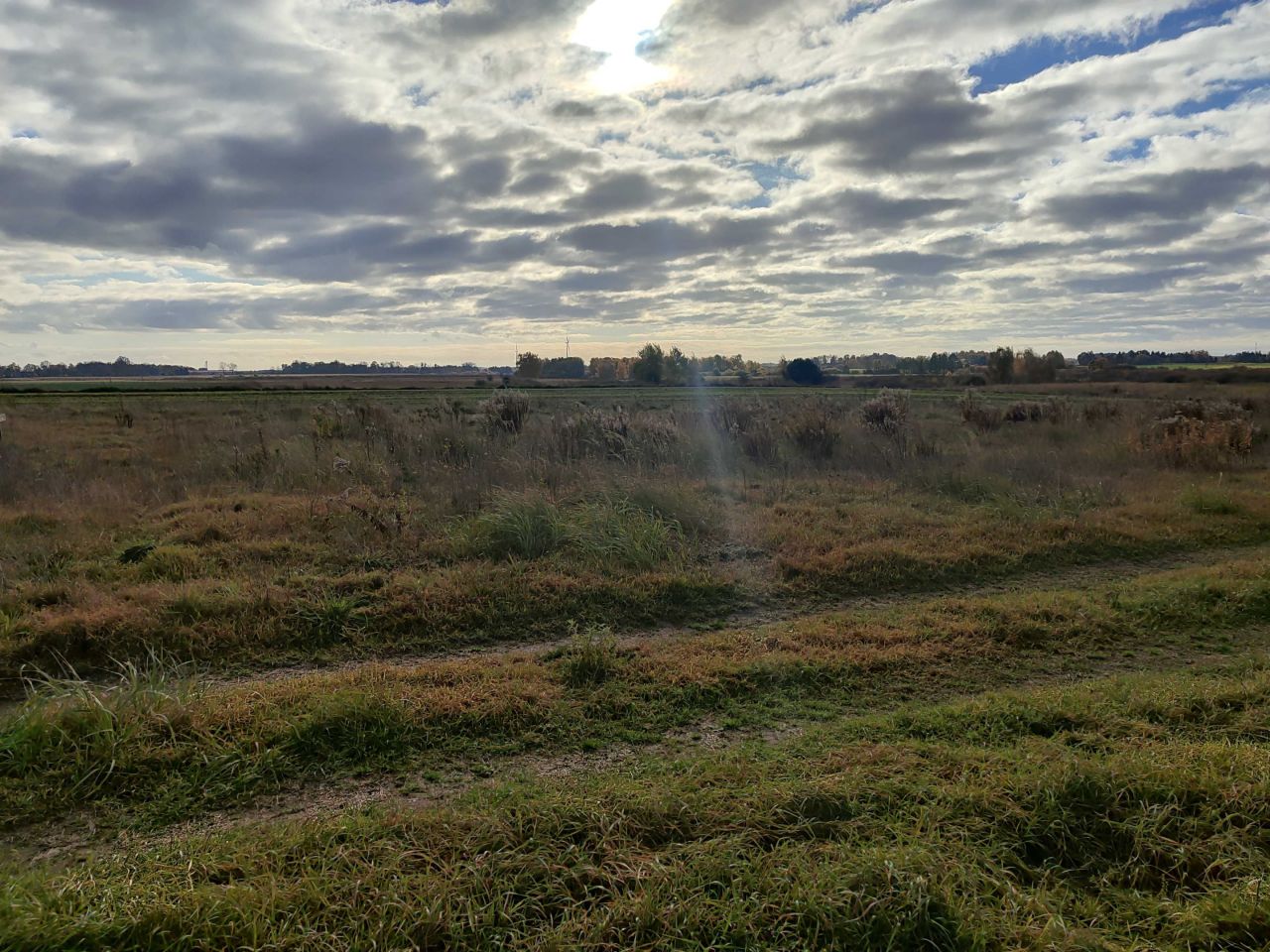 Działka rolno-budowlana Jamielnik, ul. Różana