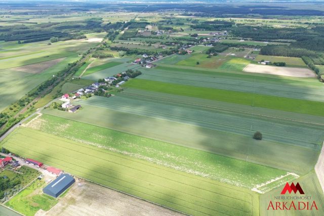Działka rolna Gołaszewo. Zdjęcie 2