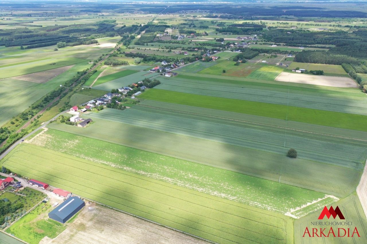 Działka rolna Gołaszewo. Zdjęcie 2