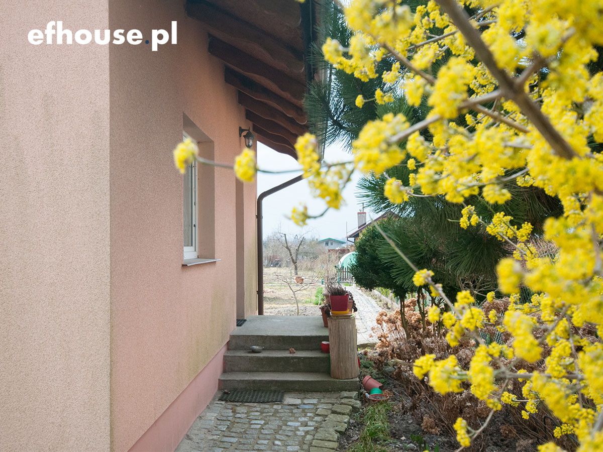 Działka rekreacyjna Żnin. Zdjęcie 5