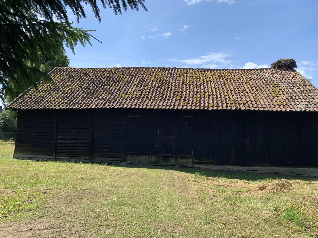 dom wolnostojący, 3 pokoje Dąbrowa. Zdjęcie 7