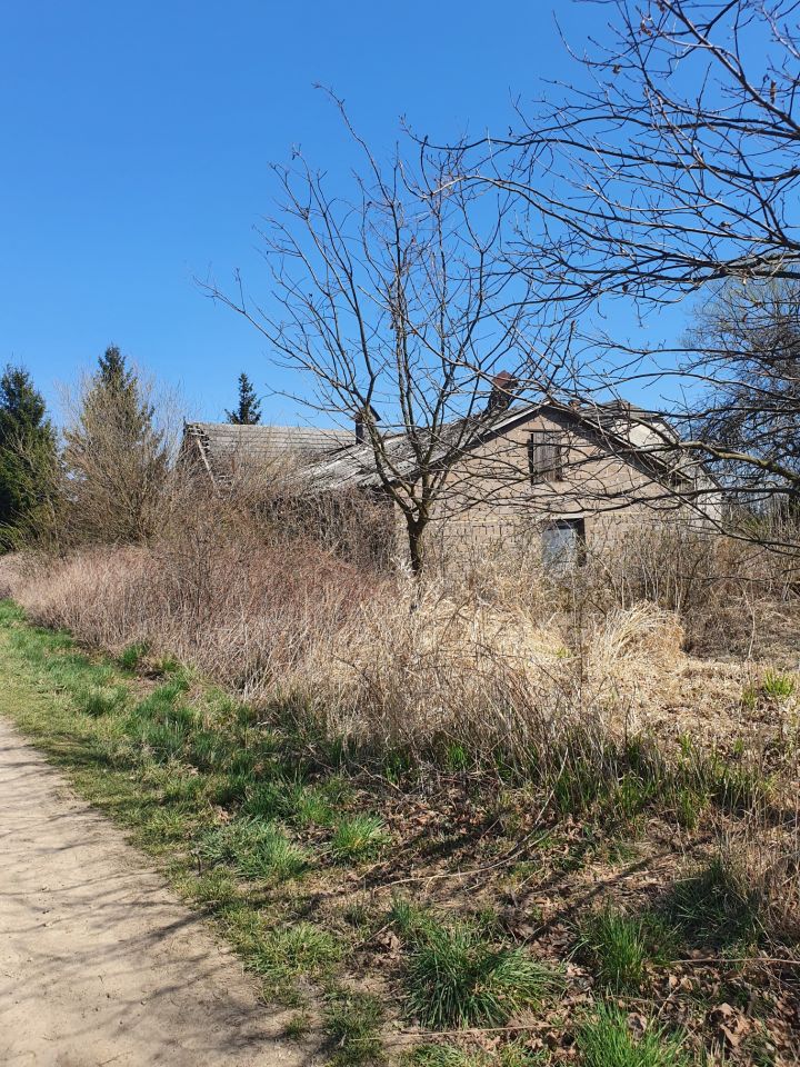 dom wolnostojący, 3 pokoje Okleśna. Zdjęcie 6