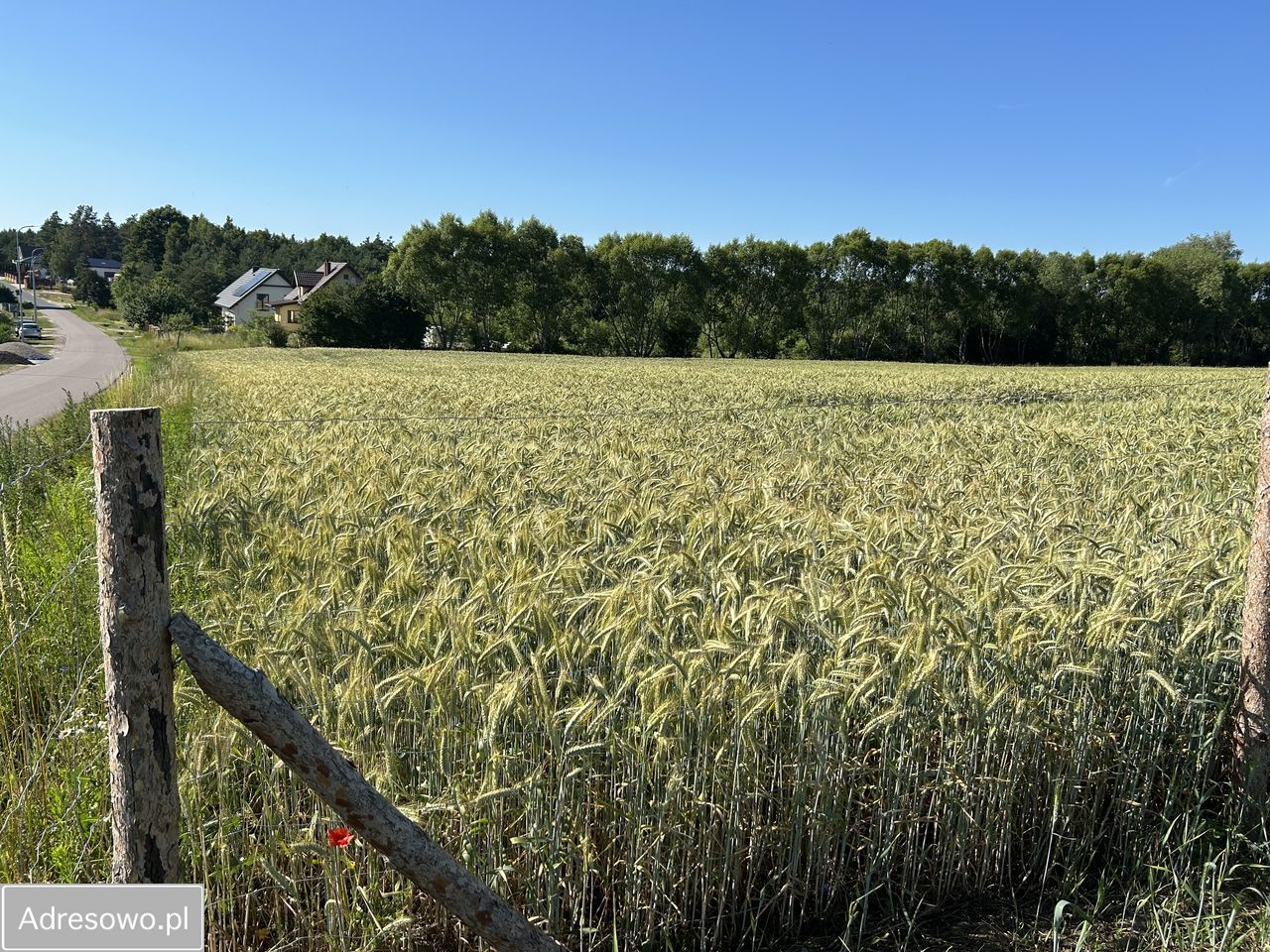 Działka budowlana Gorczenica. Zdjęcie 5