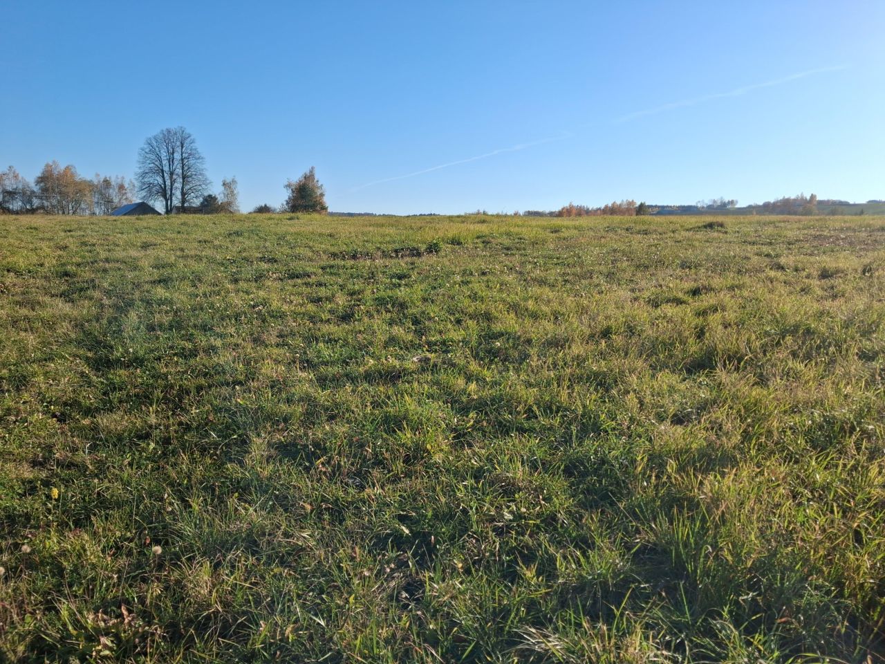 Działka rolna Sitnica. Zdjęcie 3