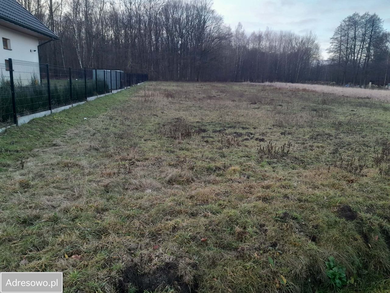 Działka rolno-budowlana Wola Rębkowska, ul. Zacisze. Zdjęcie 3