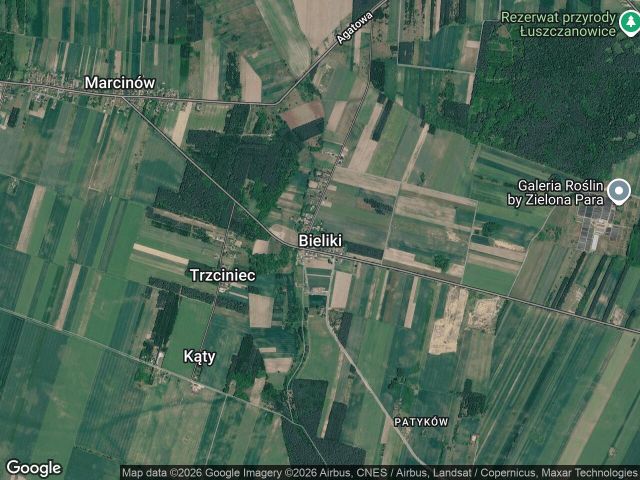 Działka rolna Bieliki. Zdjęcie 1