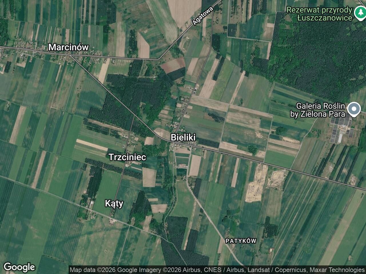 Działka rolna Bieliki. Zdjęcie 1