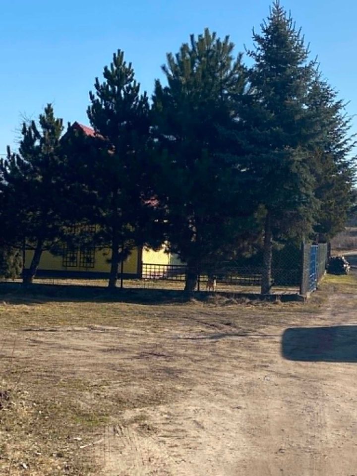 Działka budowlana Wola Lipieniecka Mała. Zdjęcie 5