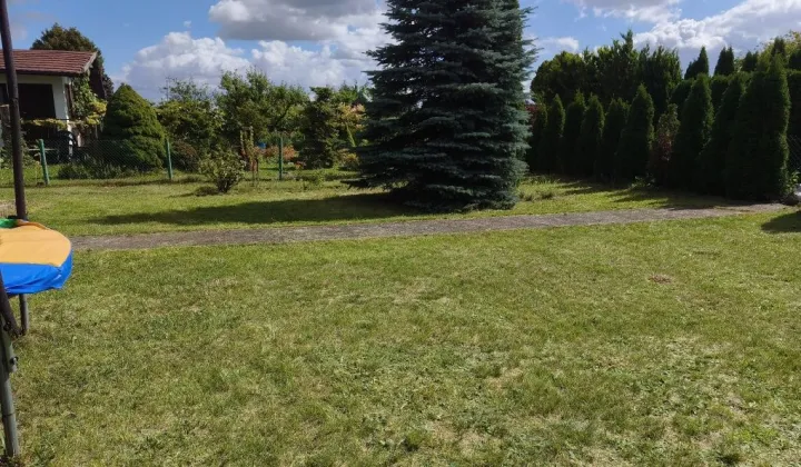 Działka rod Bełchatów