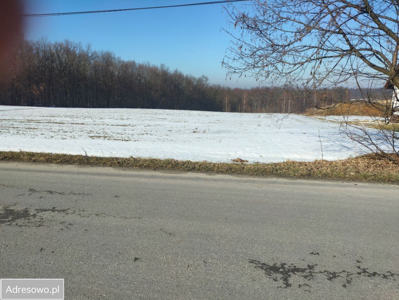 Działka budowlana Celiny. Zdjęcie 10