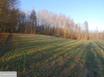 Działka rolno-budowlana Reskowo. Zdjęcie 4