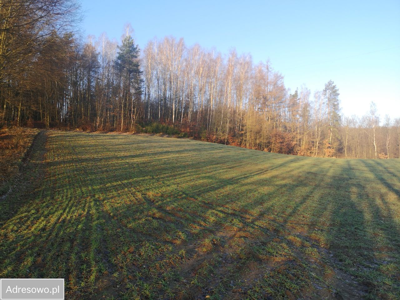 Działka rolno-budowlana Reskowo. Zdjęcie 5