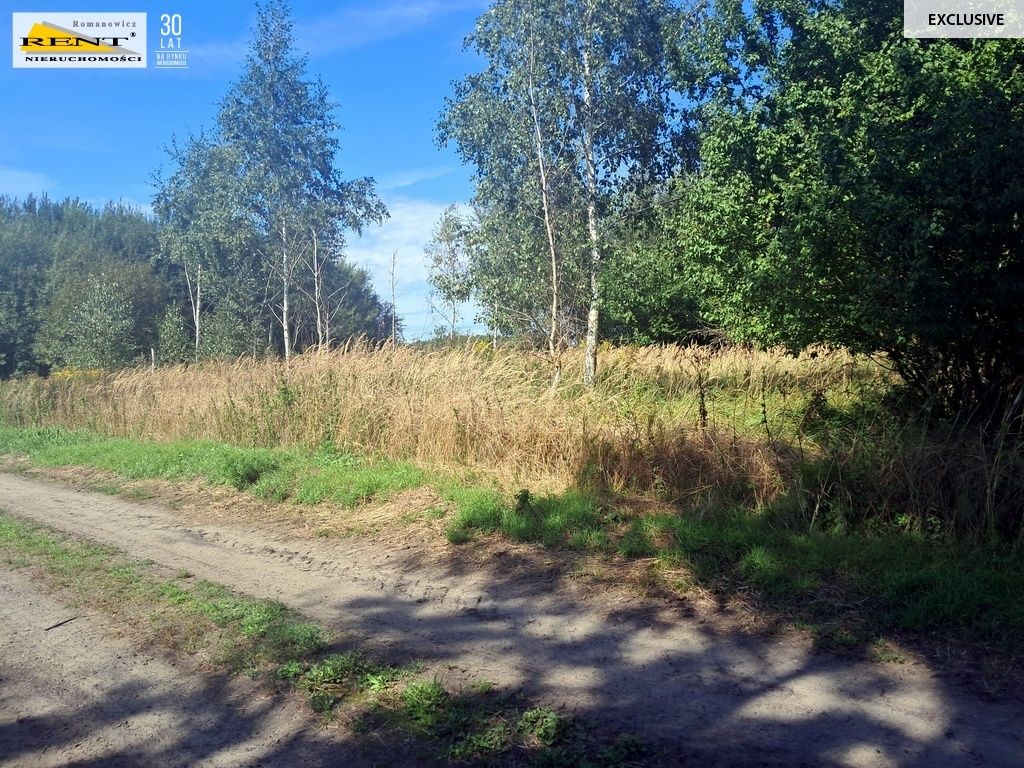 Działka siedliskowa Parlino. Zdjęcie 6