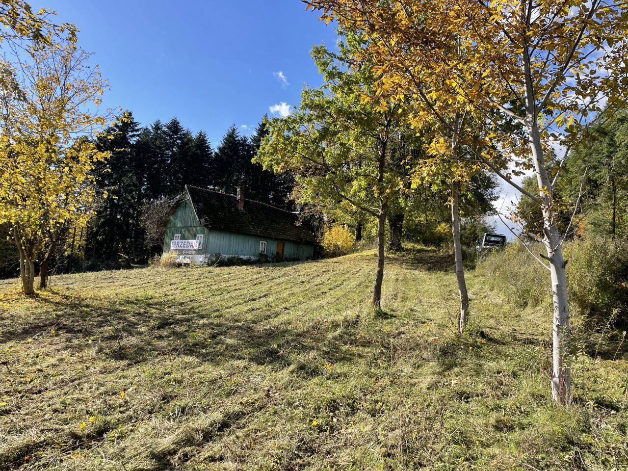 Działka siedliskowa Trzetrzewina Sołtystwo. Zdjęcie 12