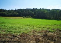 Działka rolna Sidzina