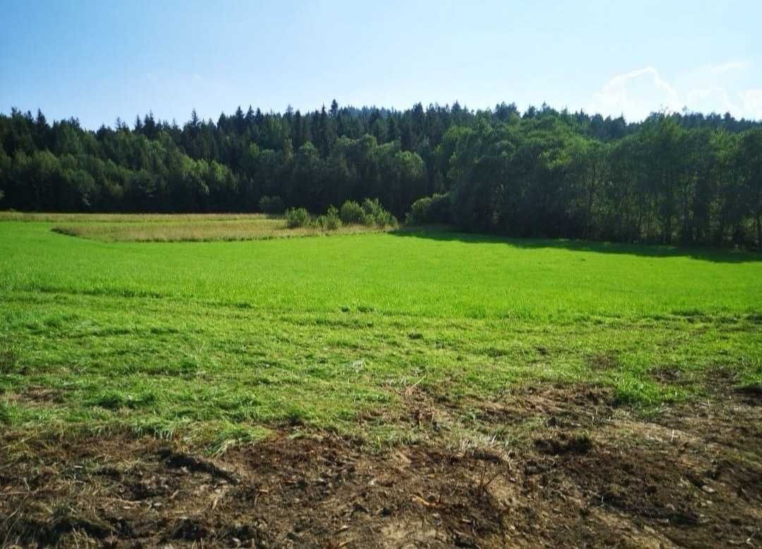 Działka rolna Sidzina