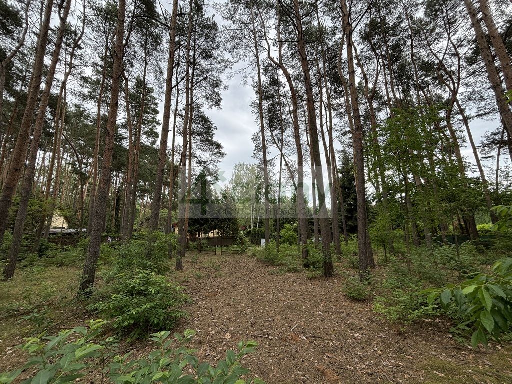Działka budowlana Stare Załubice. Zdjęcie 7