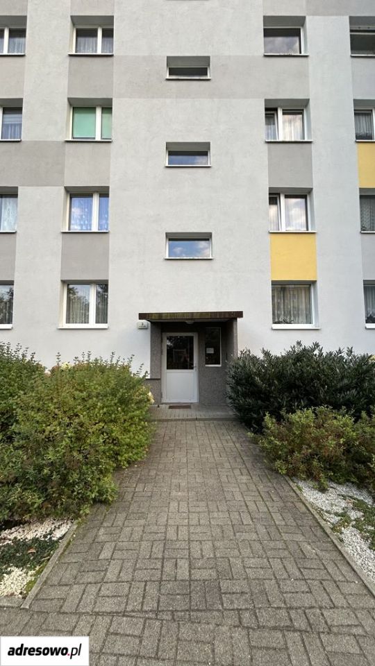 Mieszkanie 4-pokojowe Zielona Góra Centrum, ul. Francuska. Zdjęcie 19