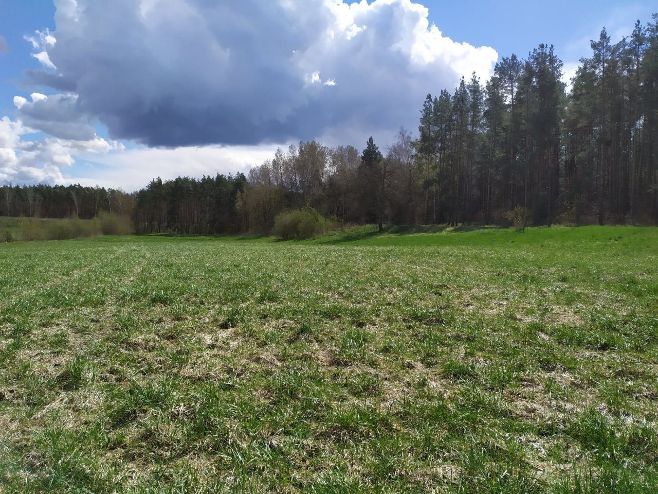 Działka budowlana Jałowiec, ul. Łąki. Zdjęcie 15