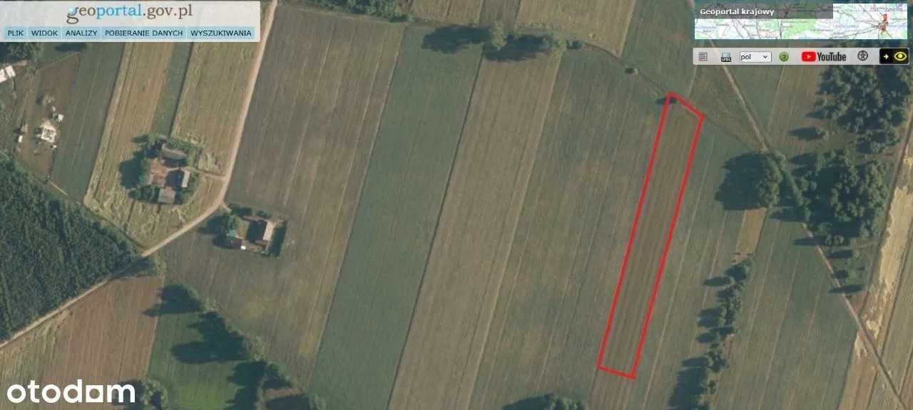 Działka rolna Zgniłe Błoto. Zdjęcie 6