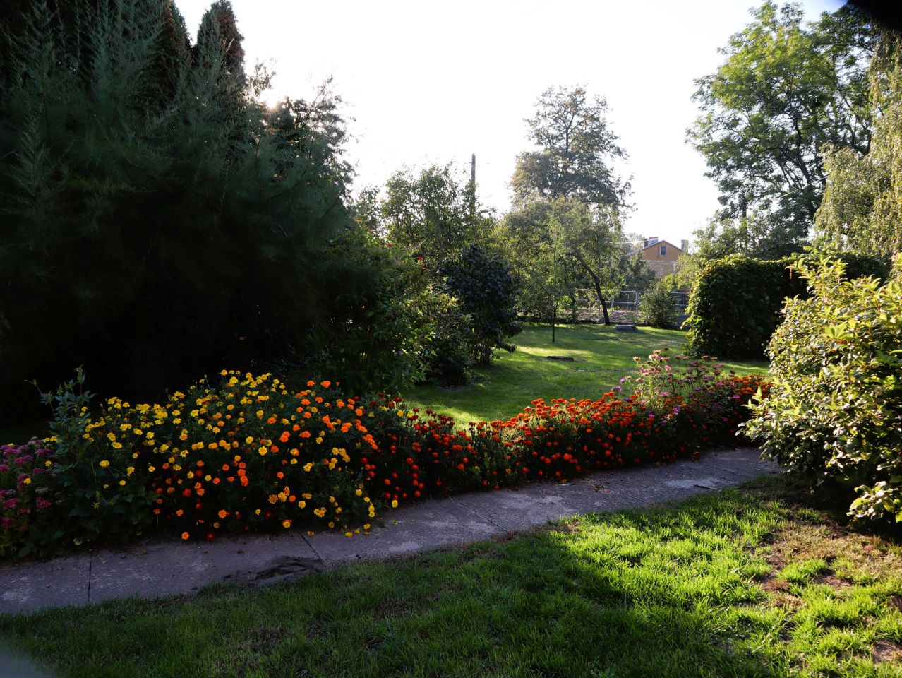 dom wolnostojący, 5 pokoi Sterdyń Sterdyń Poduchowna, ul. Spółdzielcza. Zdjęcie 8