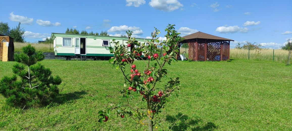 Działka rolno-budowlana Kłodowo. Zdjęcie 1