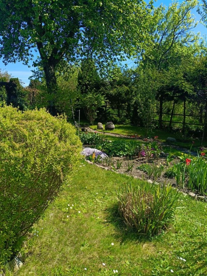 Działka rod Słupsk, ul. Gdańska. Zdjęcie 8