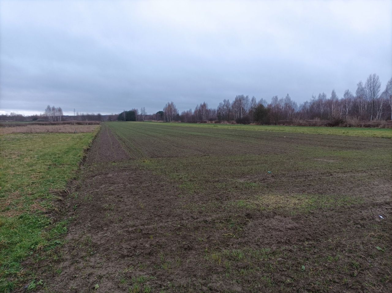 Działka rolna Radom. Zdjęcie 7