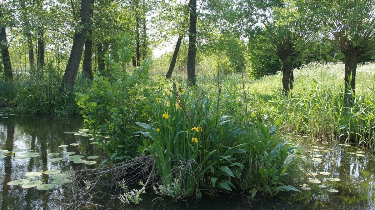 Działka budowlana Rukławki. Zdjęcie 2