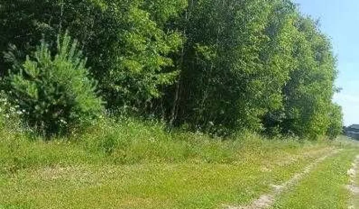Działka rolno-budowlana Murawki