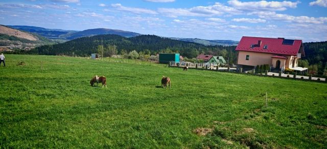 Działka budowlana Trzetrzewina. Zdjęcie 1