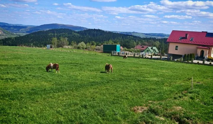 Działka budowlana Trzetrzewina