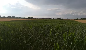 Działka na sprzedaż bez pośredników          
          
            Sadłogoszcz - Widok 3