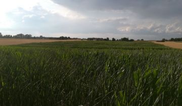 Działka budowlana Ojrzanowo