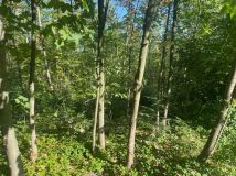 Działka budowlana Kamionna. Zdjęcie 3