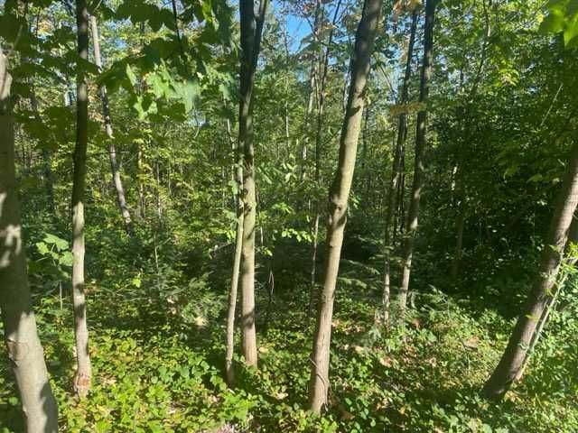 Działka budowlana Kamionna. Zdjęcie 4