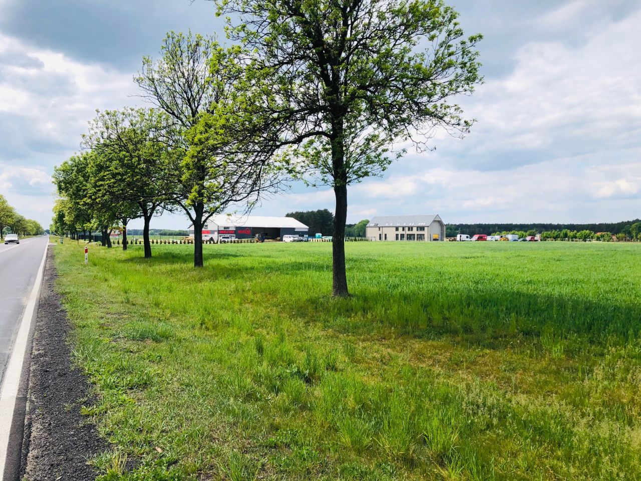 Działka inwestycyjna Wilków, ul. Klonowa. Zdjęcie 2