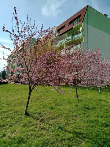 Mieszkanie 2-pokojowe Giżycko, ul. Królowej Jadwigi. Zdjęcie 1