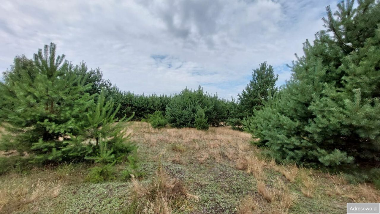 Działka budowlana Dębniaki