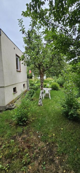 Działka rod Gdańsk Olszynka. Zdjęcie 17