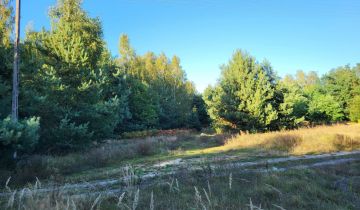 Działka rolna Borszyce