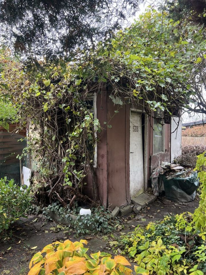 Działka rod Dąbrowa Górnicza, ul. Tysiąclecia. Zdjęcie 4