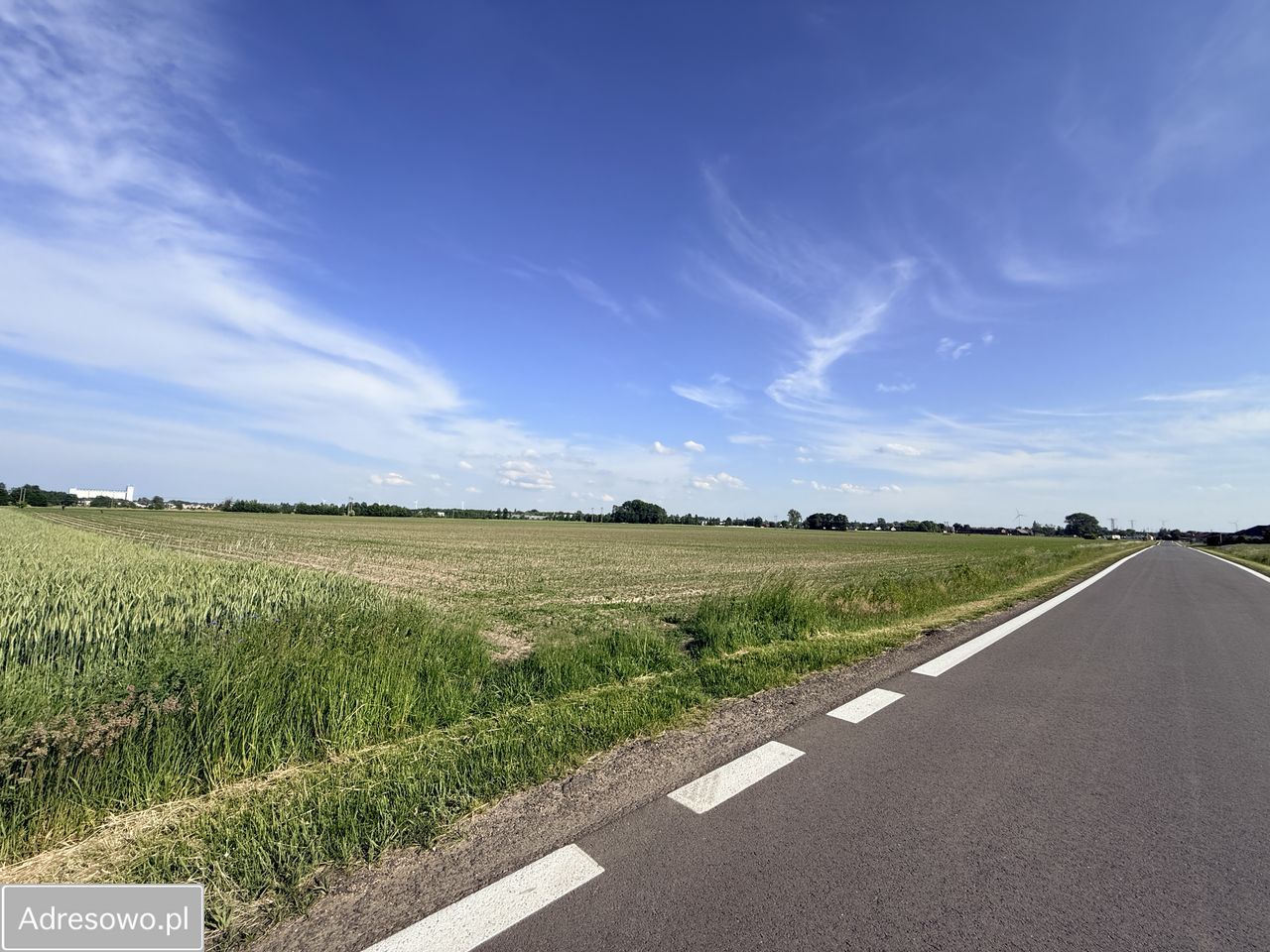 Działka budowlana Osiny. Zdjęcie 8