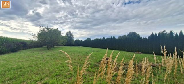 Działka rekreacyjna Morawica. Zdjęcie 11