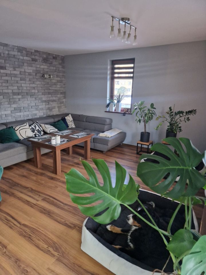 Lokal Szczecin Podjuchy, ul. Szlamowa. Zdjęcie 8